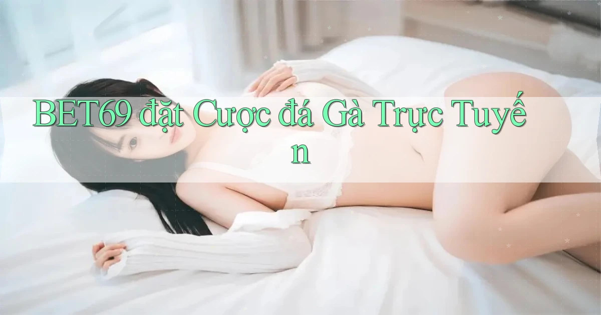 bet69  đặt cược đá gà trực tuyến