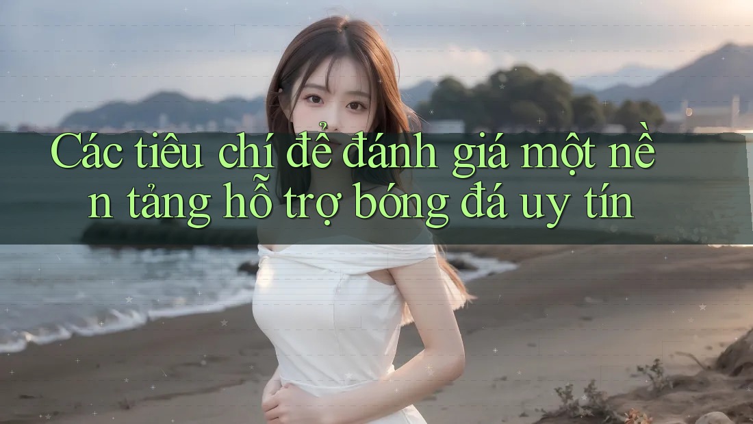 Các tiêu chí để đánh giá một nền tảng hỗ trợ bóng đá uy tín