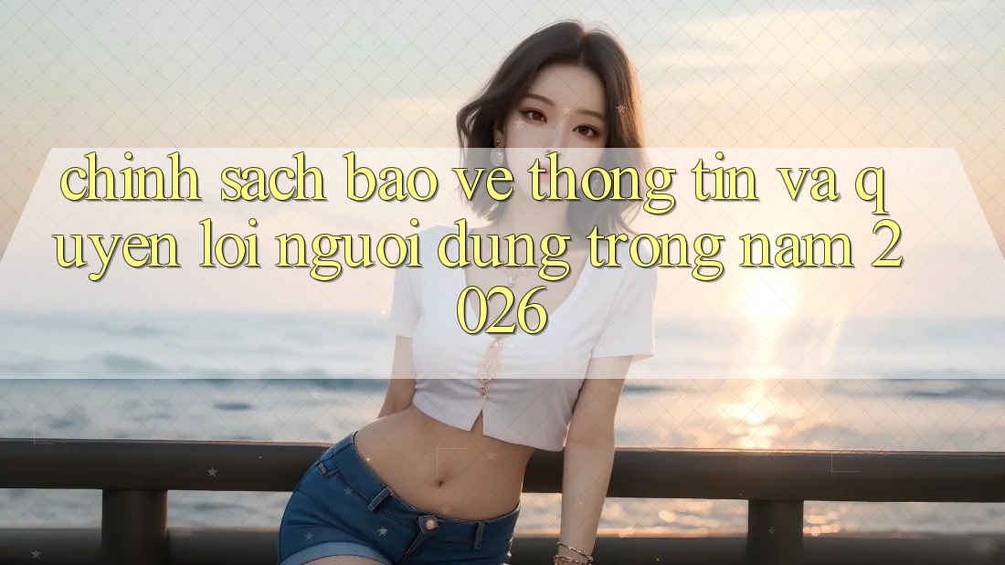 Chính Sách Bảo vệ thông tin Và Quyền Lợi Người dùng Trong Năm 2026