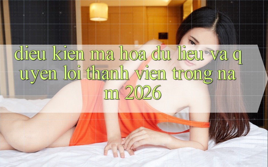 Điều kiện Mã hóa dữ liệu Và Quyền Lợi Thành Viên Trong Năm 2026