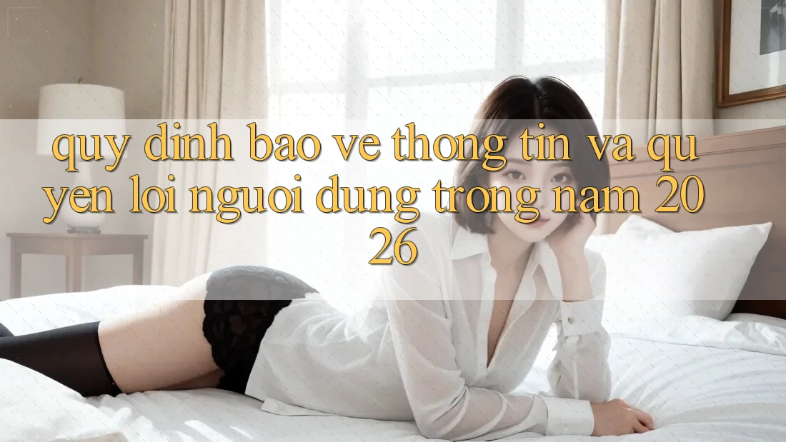 Quy định Bảo vệ thông tin Và Quyền Lợi Người dùng Trong Năm 2026