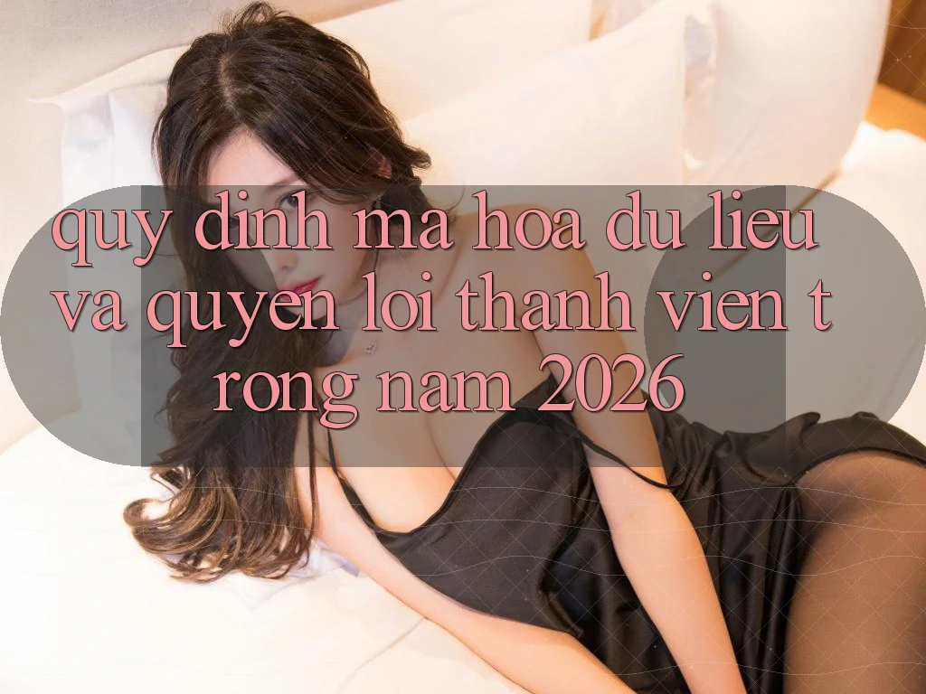 Quy định Mã hóa dữ liệu Và Quyền Lợi Thành Viên Trong Năm 2026